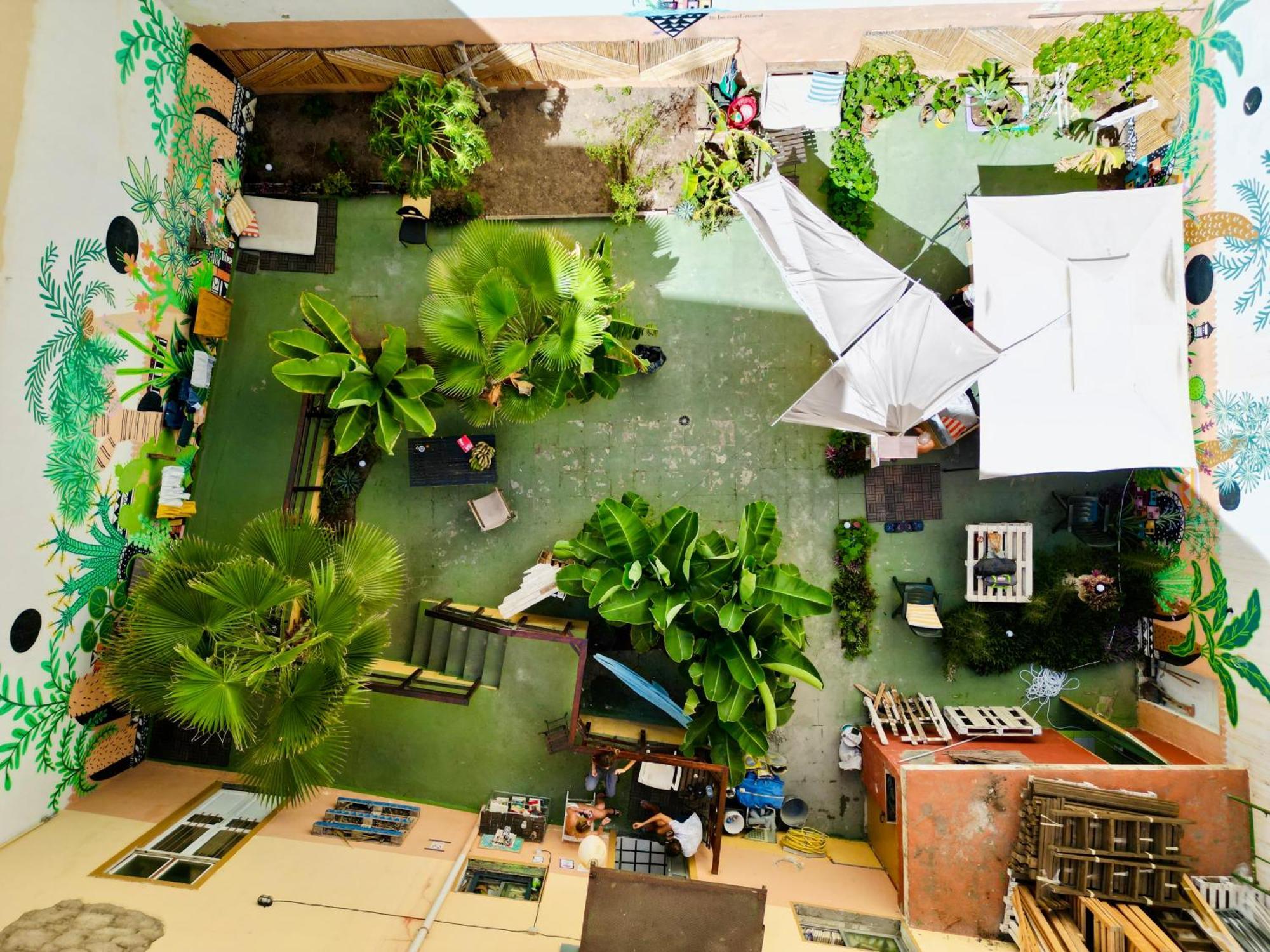 Jungle House Vandrarhem Las Palmas de Gran Canaria Exteriör bild